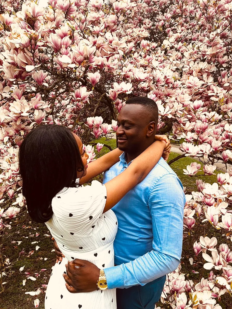 Magnolienblüte